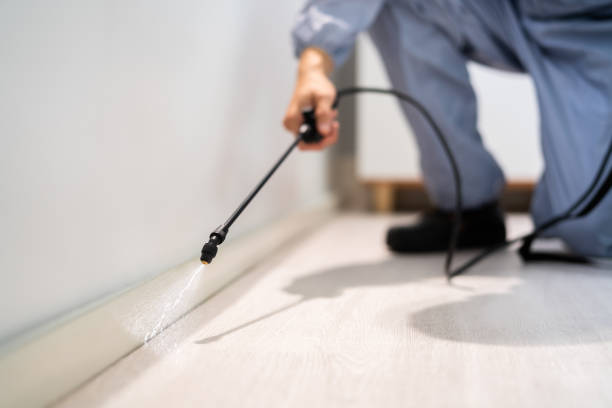 Professional exterminator conducting IPM assessment in Neffs